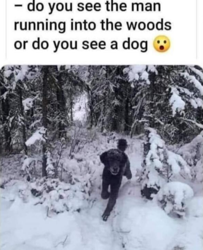 Screenshot_20220528-202532(1)