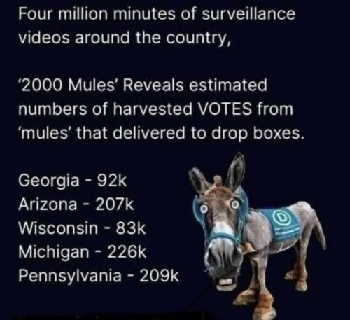 3A9D4066-D907-44AA-88DB-EB5BB567310F