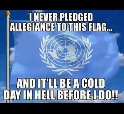 The+United+Nations+UN+I+Never+Pledged+Allegiance+To+This+Flag.+And+It`ll+Be+A+Cold+Day+In+Hell+Before+I+Do+!