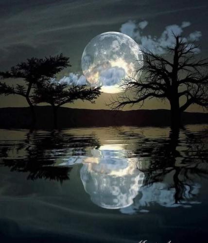 FB_IMG_1620270359366