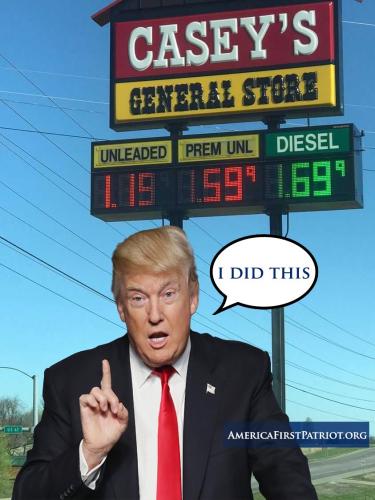 trump-i-did-this-2