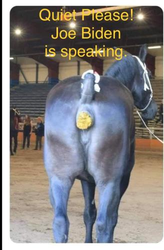 JoeBidenSpeakingShit