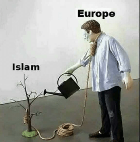 islam-europe-in-the-event-that-these-terror-attacks-surprise-22151586