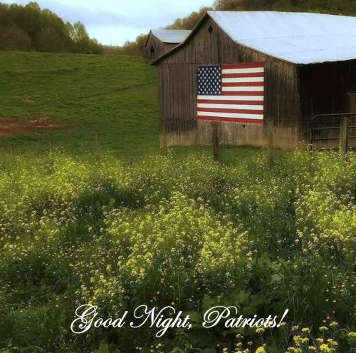 Good Night 44