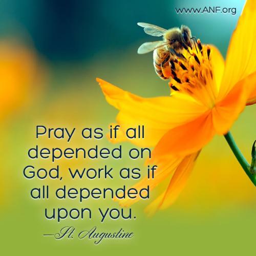 96A83DA6-6113-4F35-96F4-F63D2EAC5330