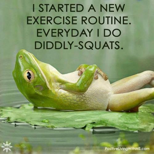 Exercise - Diddley sguats...