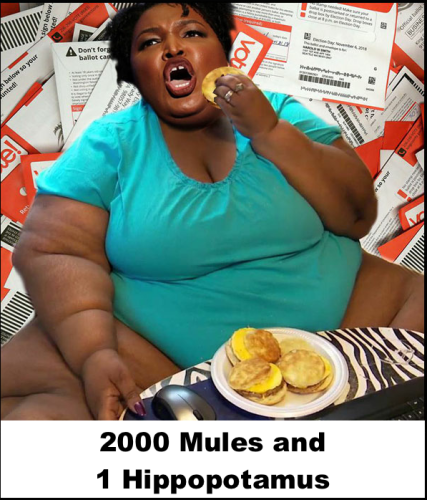 2000 mules and 1 hippo