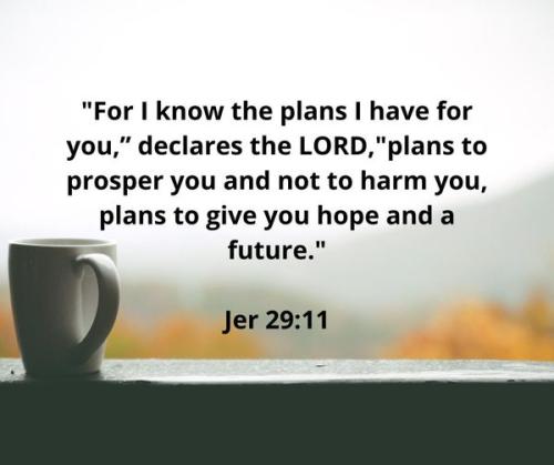 280381450_10220163713673562_5404116119942564438_n