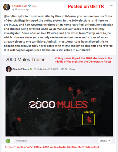 Mules in GA 2