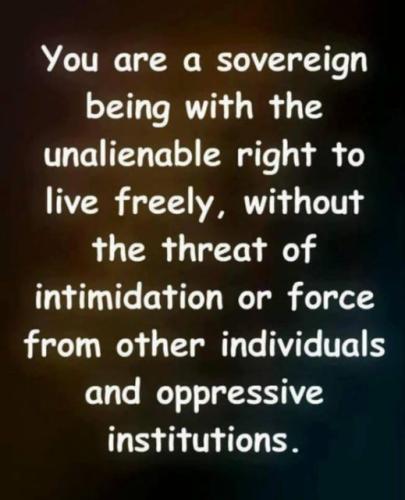 123207845_10163775678355538_8954242190553835213_n