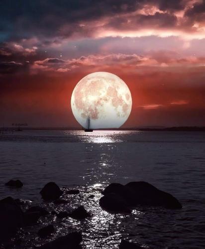 FB_IMG_1621894972156