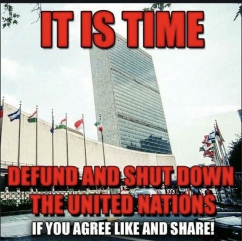 86C17C8C-2150-4541-8C82-5A9D3DC318A3