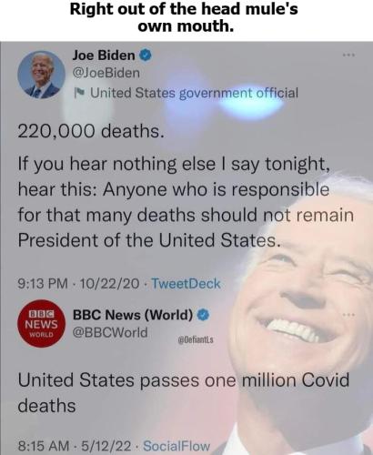 Right out of the head mule's own mouth