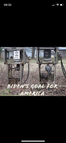 Bidens Goal