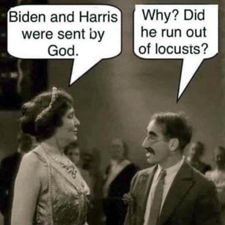 Locusts
