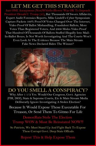 1-1-A-A-A-A_1-A-A-A-A-A-A-2020-ELECTION-LET-ME-GET-THIS-STRAIGHT-COLUMBO-FINAL