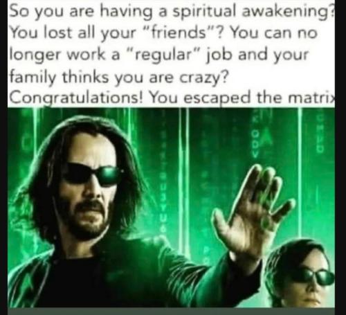 54C2C866-498B-482C-9D24-A5F4085B1901