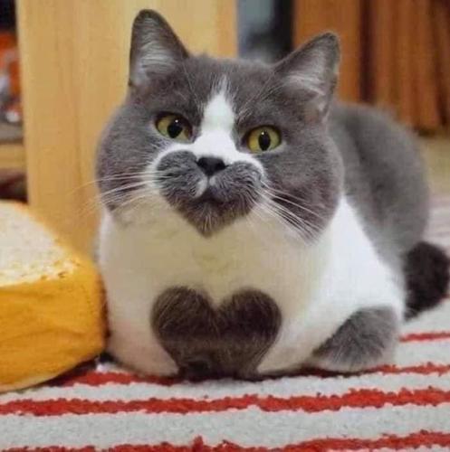 283486253_1772618526405731_7132232757181755692_n