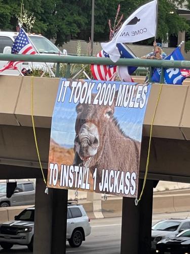 Jackass