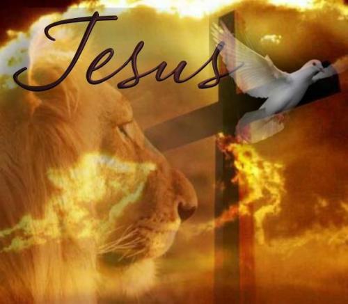 photo5179336826895313464