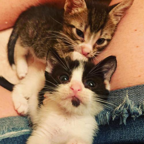 47F42764-2088-476E-94CF-42BF69B24817