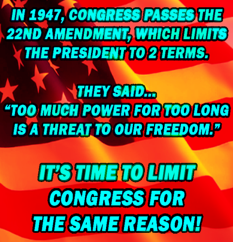 OBAMA THIRD TERM