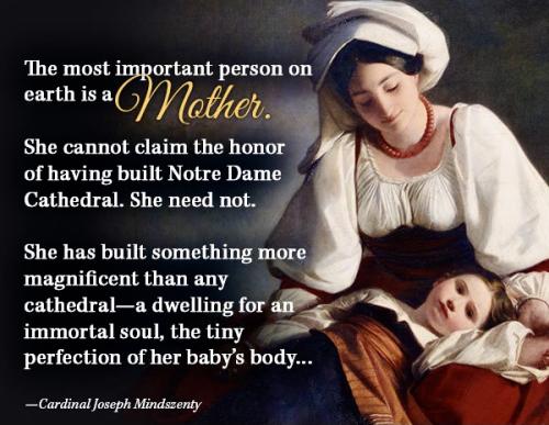 B8BE62F6-A609-473E-A69B-81647C5A0F5C