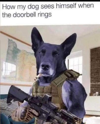 imagedoor