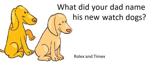 20220511 rolex and timex