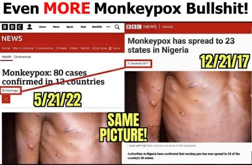 Even MORE Monkeypox Bullshit 760px