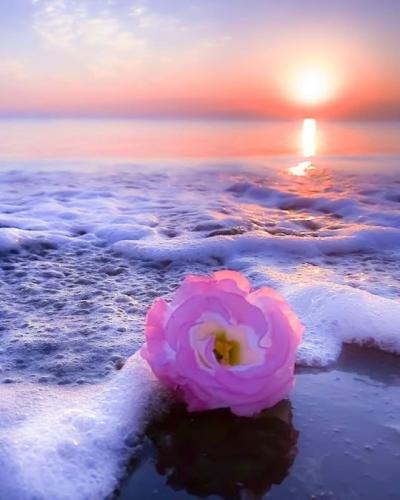 FB_IMG_1618922616918