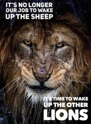 187808717_1182948808812027_1631571709975762947_n