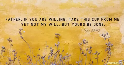 56673-luke-22-42-cc.1100w.tn