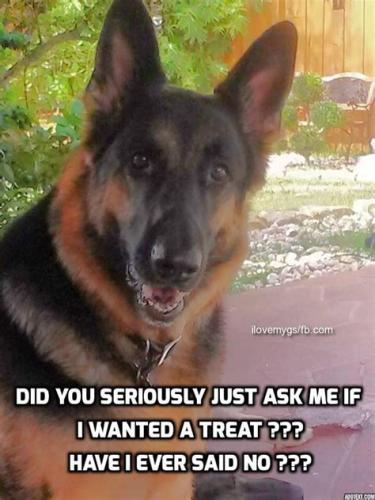 8B1E58DF-AF3F-4E15-A72A-FFDB8A9677B2