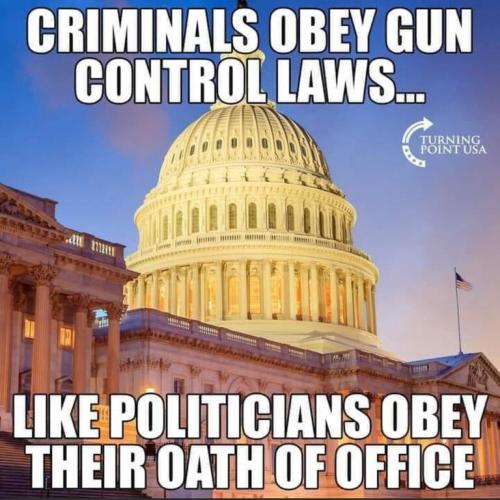 criminals & politicans