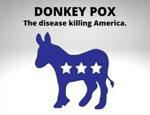 AA Donkey Pox