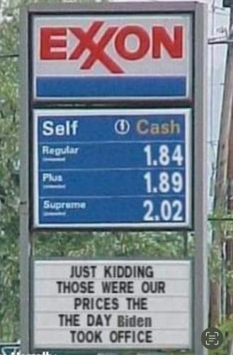 Just Kidding