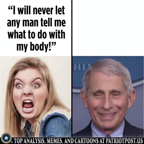 my body