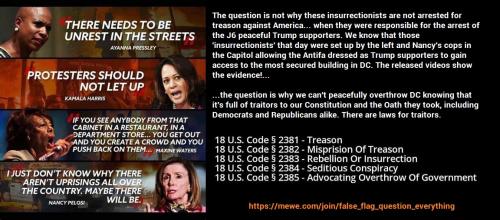 arrest insurrectionists