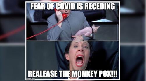 monkeypox-memes-728x409