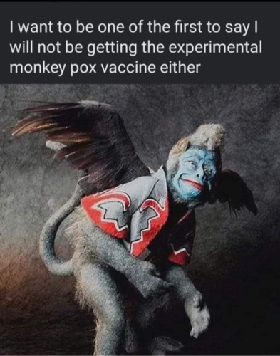 fd0cc4cc46b478be6af1d3edd8b3419d_500