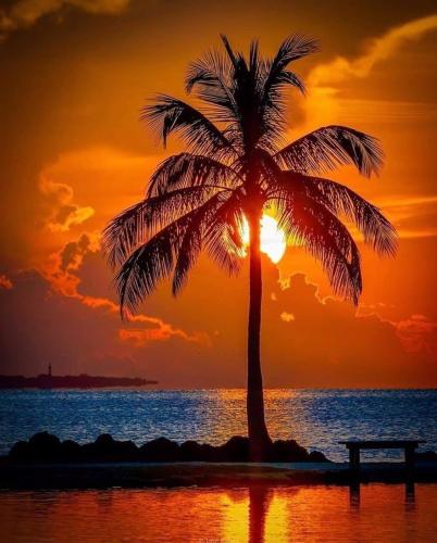 FB_IMG_1619530333440