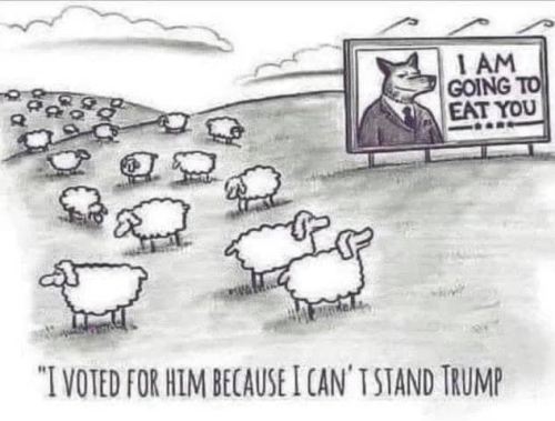 M voted