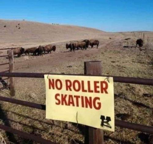 You can't roller skate in a buffalo herd