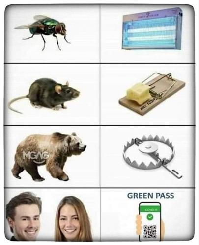 IMG_20220514_065808_515