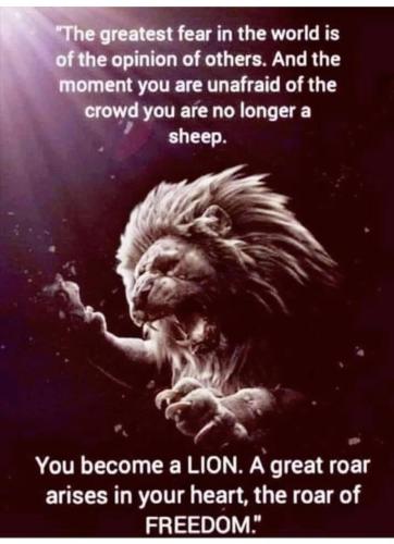 photo5105101950726286730