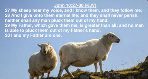 16 John 10.27