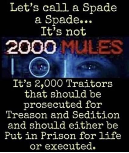 5A3445E4-E9C9-4CD9-BBE6-137014193CEA