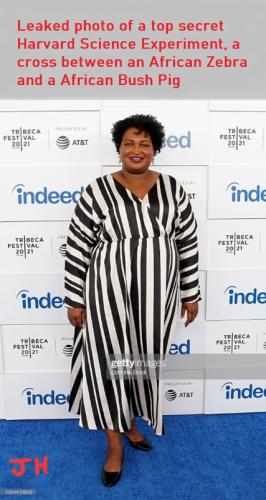 imagezebra
