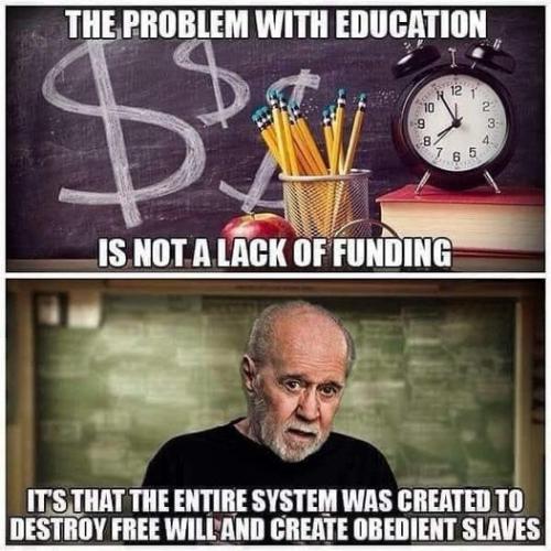 Schooling